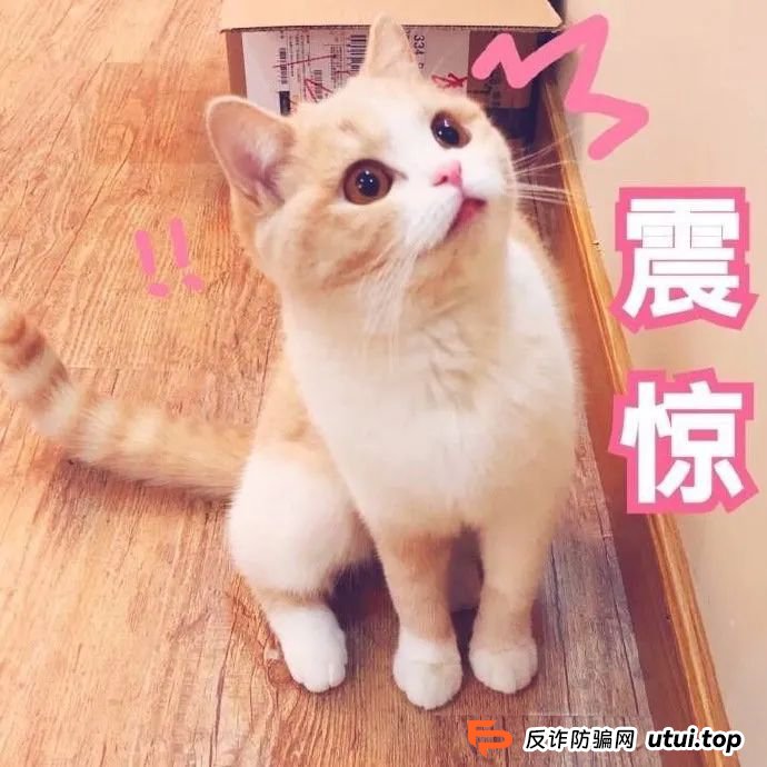 刚被骗完就上网搜对策？小心二次踩雷！