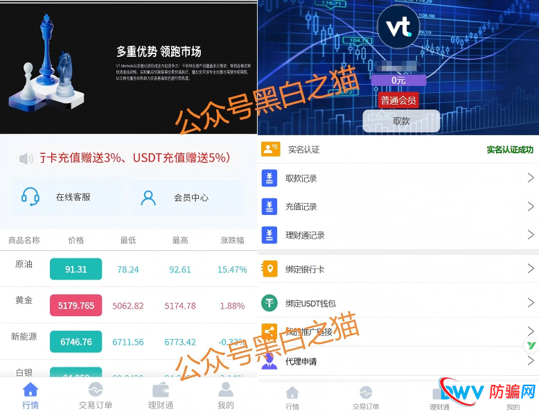 外汇盘｜境外“Vt Markets”遭仿冒，国内吸金不止，杀猪盘骗局又起......