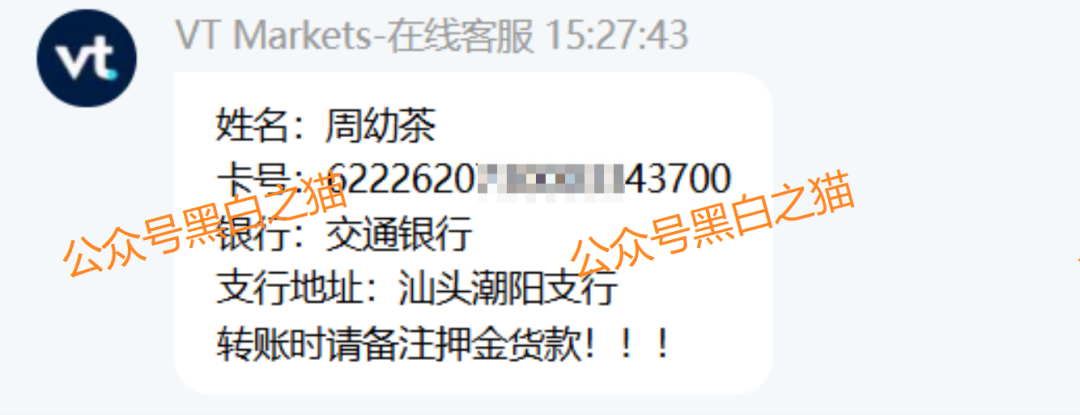 外汇盘｜境外“Vt Markets”遭仿冒，国内吸金不止，杀猪盘骗局又起......