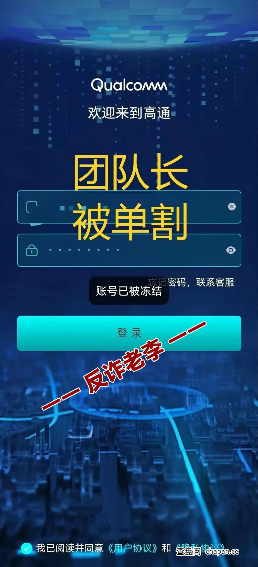“高通”资金盘背后的“幸存者偏差”：为什么你以为能赚，结果却血本无归？